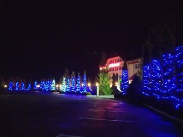 Фото номера Люкс с кроватью размера «king-size» и балконом Мотели Motel Natali г. Podpolzʼye 22