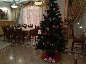 Фото номера Люкс с кроватью размера «king-size» и балконом Мотели Motel Natali г. Podpolzʼye 24